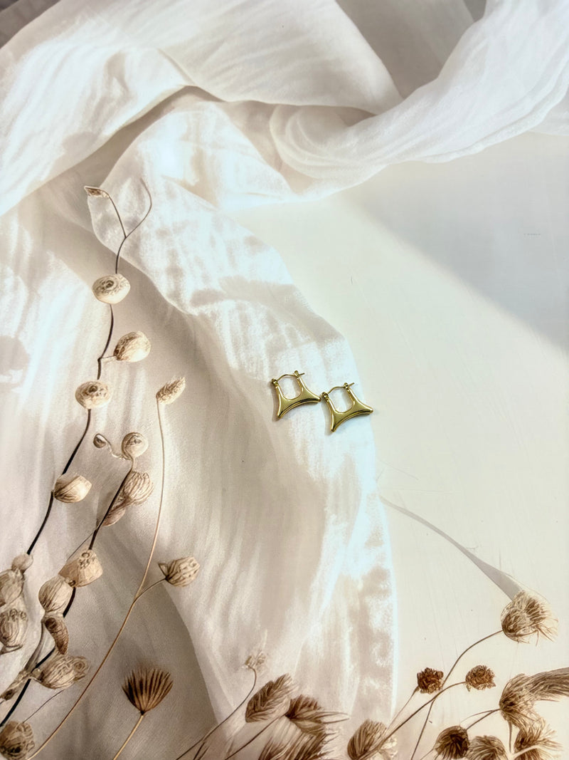 Emily Hoops